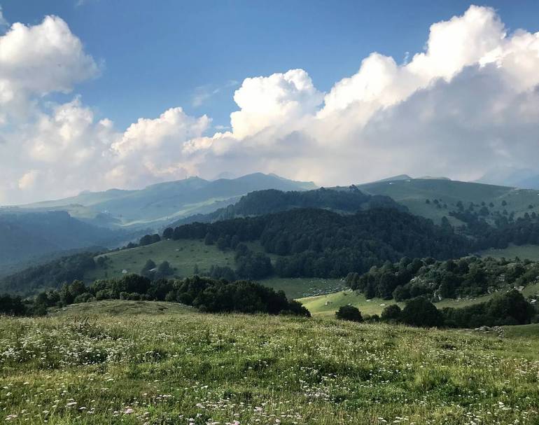 Conoscere le erbe e le piante spontanee di Baldo e Lessinia