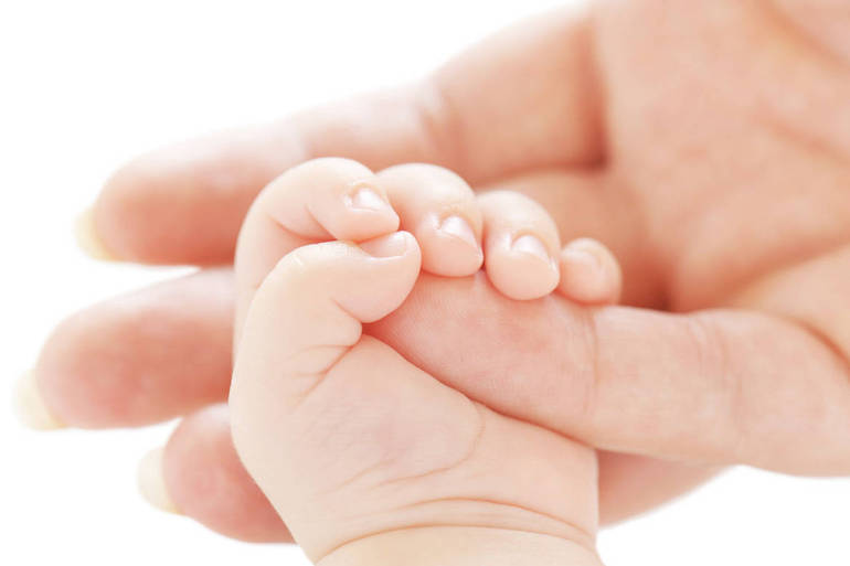 "L'amore dà sempre vita" "L'amore dà sempre vita"