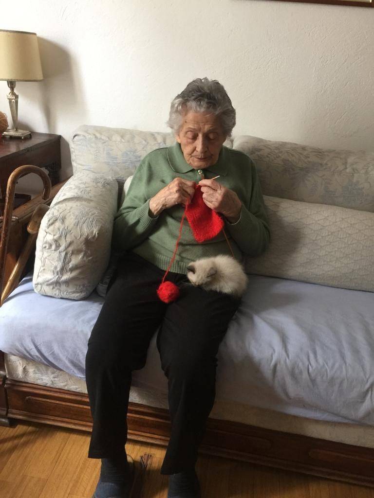 Per gli anziani soli e malati il toccasana degli animali Per gli anziani soli e malati il toccasana degli animali