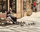 Immagine di una nziano seduto su una panchina "in compagnia" dei piccioni 