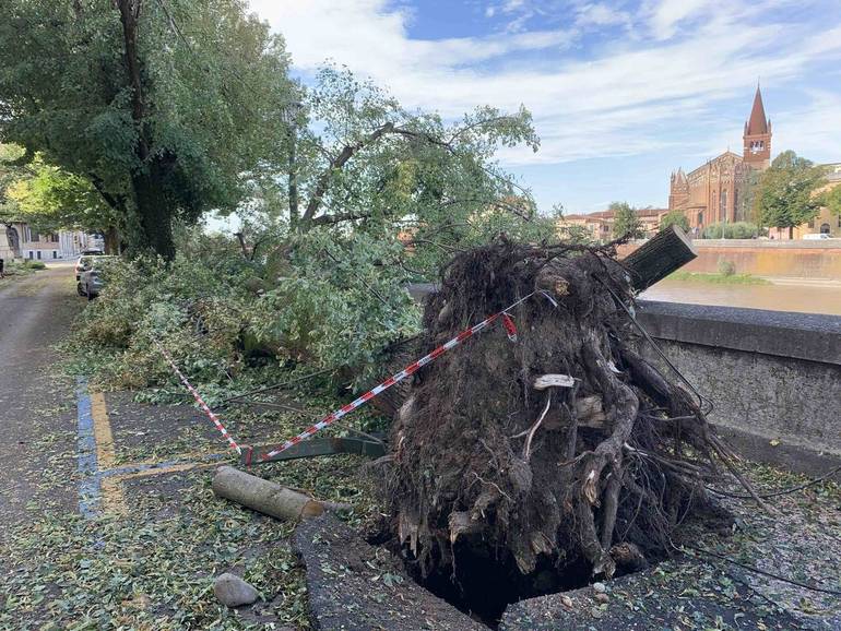 Verona sott'acqua: indaghiamo le cause di questi disastri Verona sott'acqua: indaghiamo le cause di questi disastri