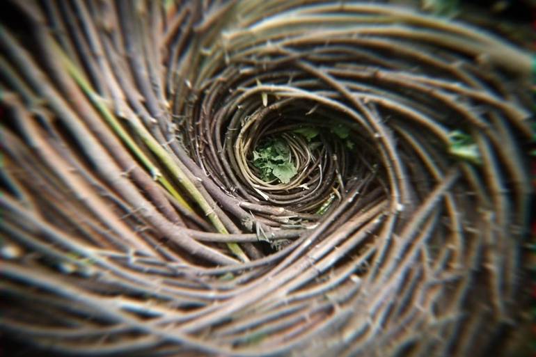 A Villa Buri tra arte e natura con "Linea Terra Acqua" A Villa Buri tra arte e natura con "Linea Terra Acqua"
