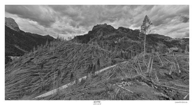 Le Dolomiti dopo Vaia Le Dolomiti dopo Vaia