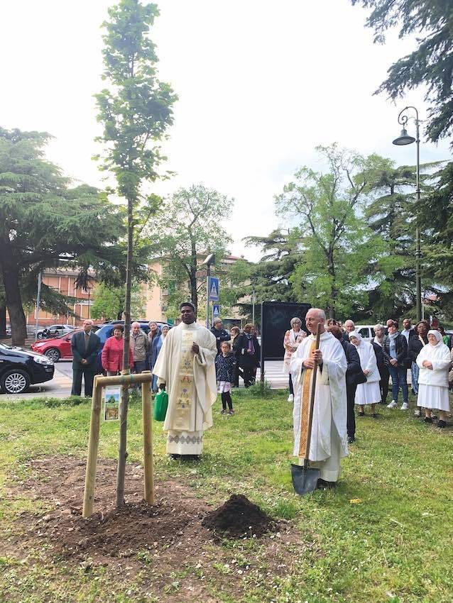 don Joseph Varghese Thoombunkal ha pintato un nuovo albero nel giardino antistante la chiesa