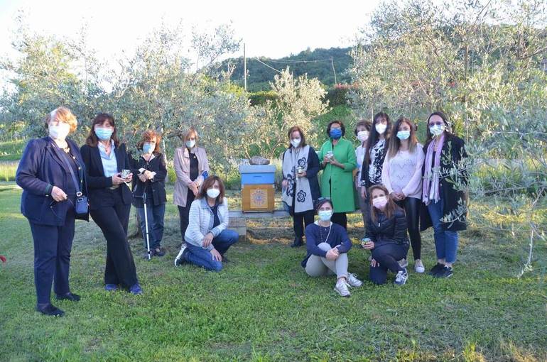 Api in via d’estinzione? Ci pensa Soroptimist Verona Api in via d’estinzione? Ci pensa Soroptimist Verona