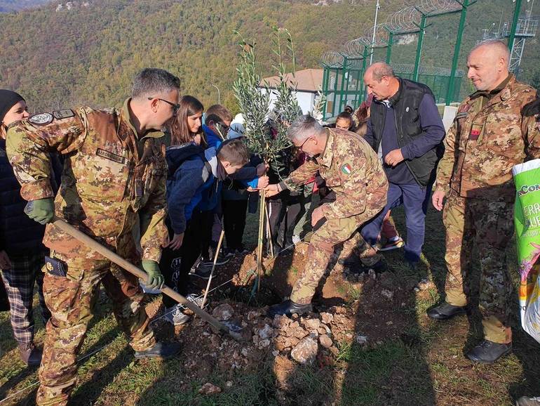 Crescono nuovi alberi nella base Nato di Lughezzano