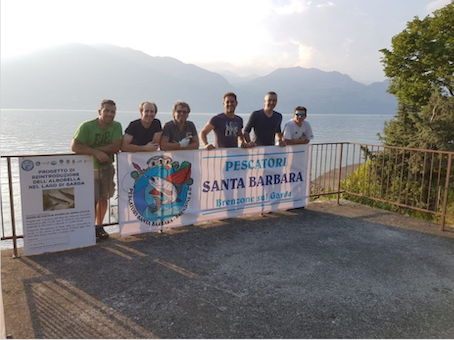 I salvatori dell’alborella che la rivogliono nel Garda I salvatori dell’alborella che la rivogliono nel Garda