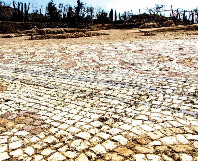 Immagine di una pavimentazione a mosaico della villa romana in mezzo ai vigneti di Negrar