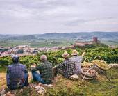 Panoramica delle colline soavesi con contadini che ammirano il paesaggio