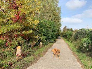 A Settimo di Pescantina incantevole passeggiata tra acqua, campi e chiesette A Settimo di Pescantina incantevole passeggiata tra acqua, campi e chiesette