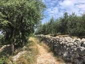 Dal colle di San Rocchetto una panoramica su tutta la città