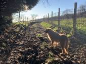 I sentieri incantati di Montecchio tra natura, buon cibo e panorami