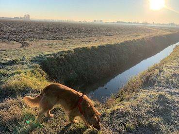 Insolita Concamarise tra natura, ville e chiesette