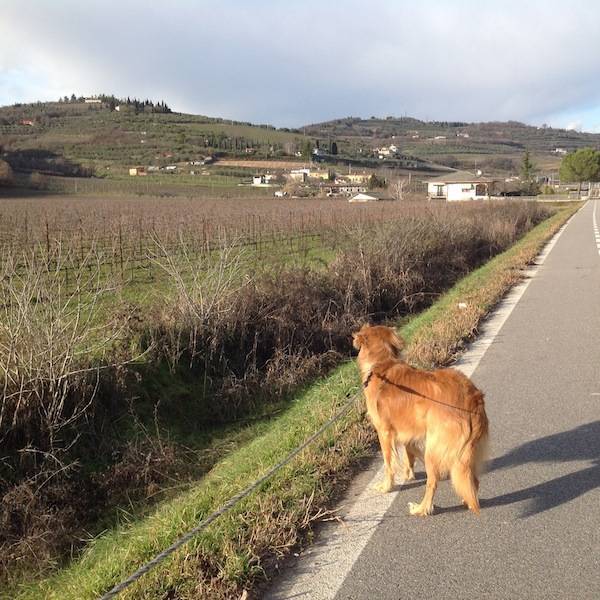 Un angolo di Toscana a due passi da S. Martino