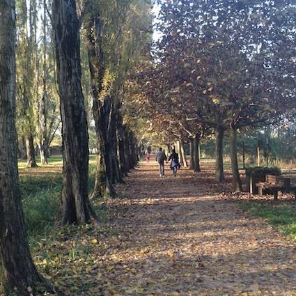 Una struttura perfetta in un ambiente ritrovato