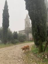 Verso la Madonna del Monte sul Sentiero della pace